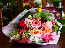 flora