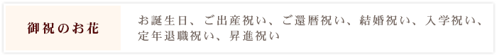 [御祝のお花]お誕生日、ご出産祝い、ご還暦祝い、結婚祝い、入学祝い、定年退職祝い、昇進祝い